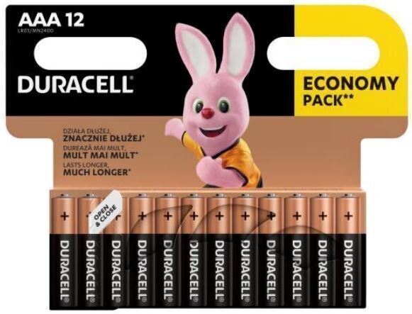 Duracell Basic AAA baterie