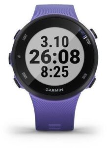Garmin Forerunner 45S Iris