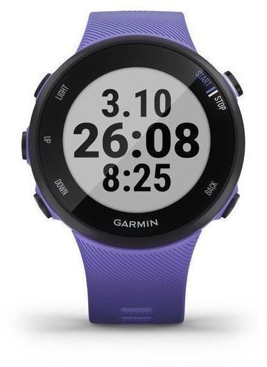 Garmin Forerunner 45S Iris