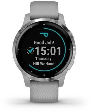 Garmin vivoactive 4S Powder Gray/Silver