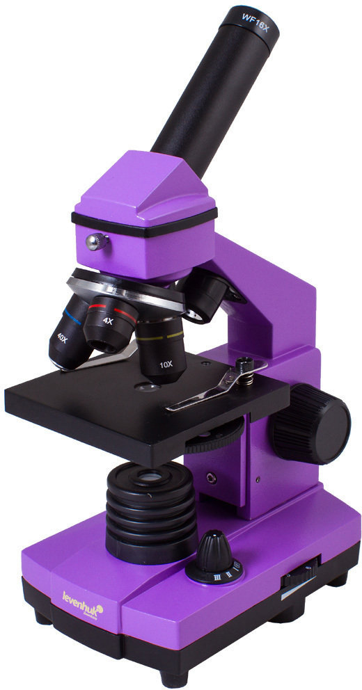 Levenhuk Rainbow 2L PLUS Amethyst Mikroskop