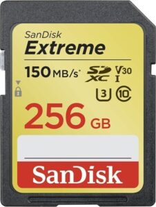 SanDisk Extreme SDXC 256 GB SDSDXV5-256G-GNCIN