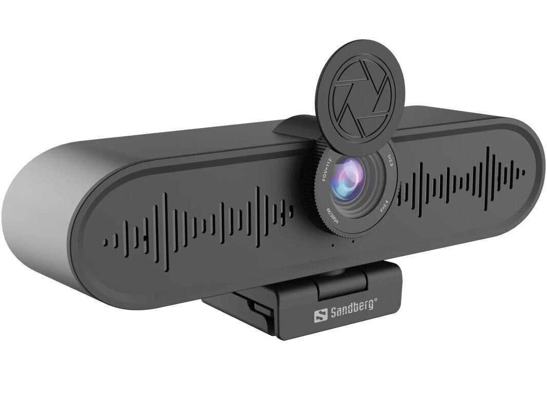 Sandberg ConfCam (134-24) Černá