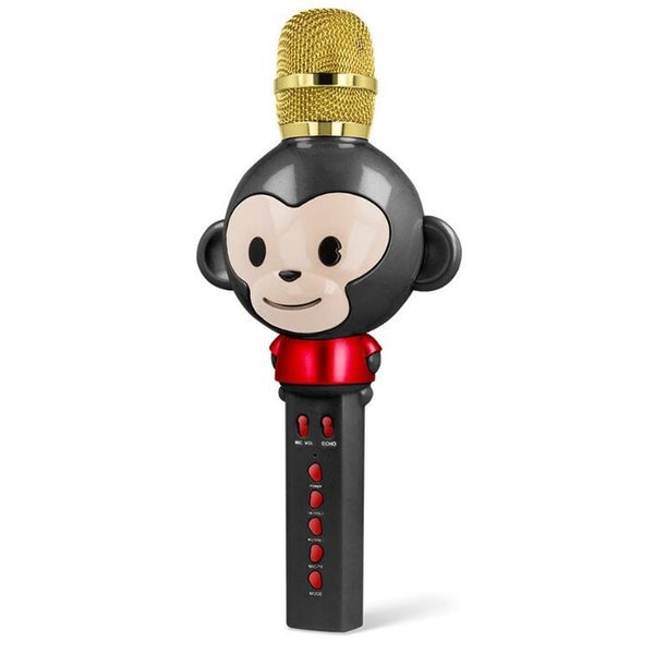 Karaoke mikrofon Forever AM-100 (BLUMCPAMS100BK)